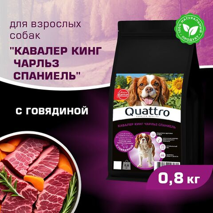Корм сухой для взрослых собак породы Кавалер кинг Чарльз спаниель, с говядиной, 800 гр, QUATTRO