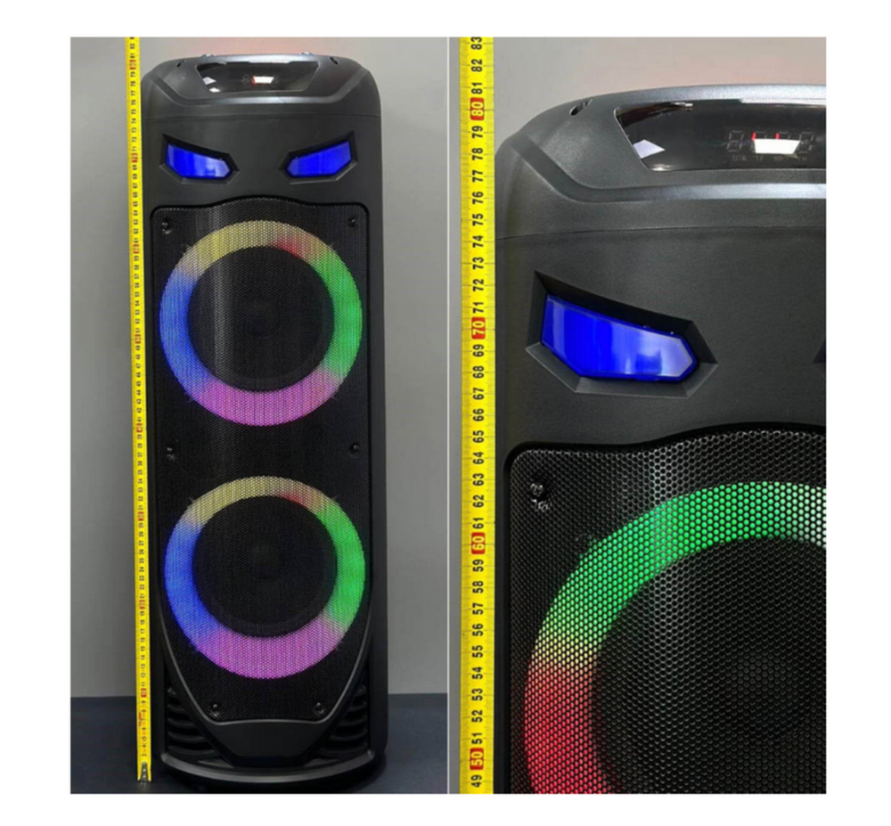 Напольная колонка Sing-e ZQS-8237 (8"60W/6A/микрофон)