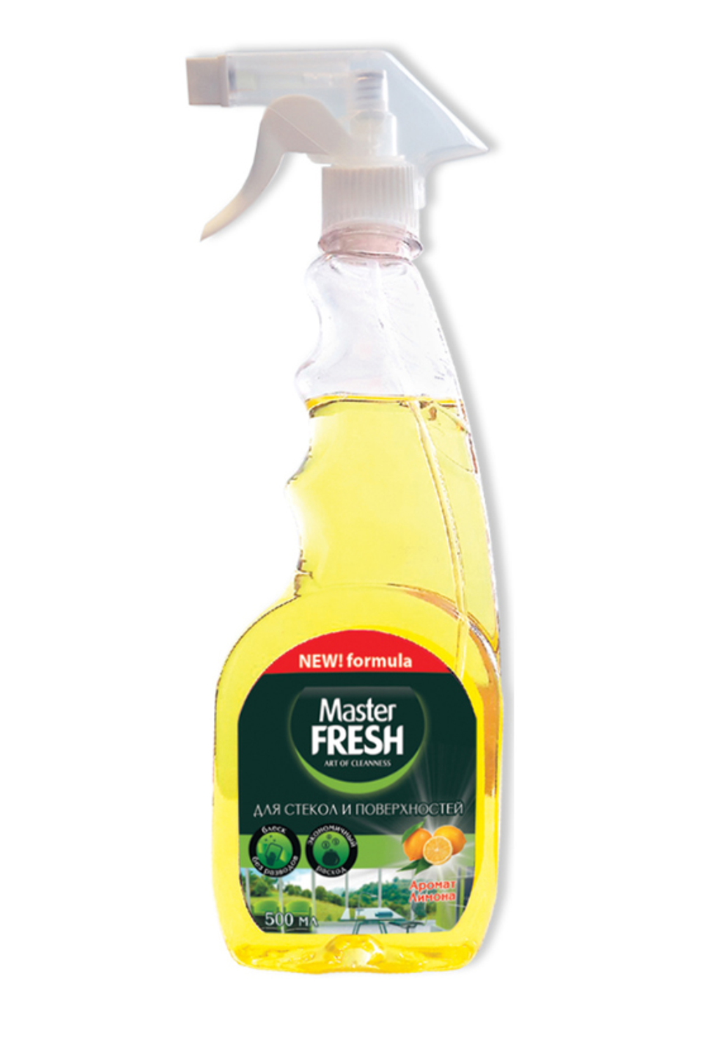 Средство для мытья стекол и зеркал Master Fresh, 500 мл