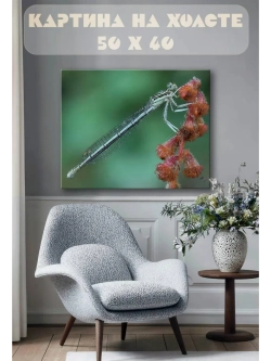 Картина на стену 40 X 50 Стрекоза