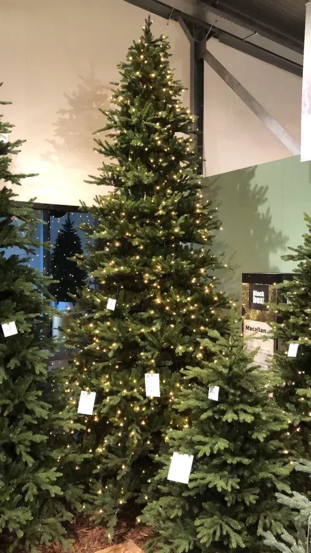 Ель Ирландская с лампочками 365 см., 1104 LED лампы, литая хвоя+пвх, Black Box (74395)