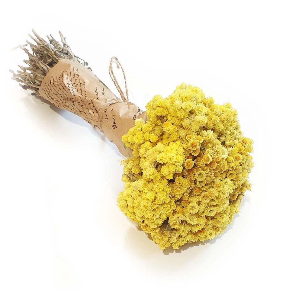 Букет сухоцветов Бессмертник 20х20 см