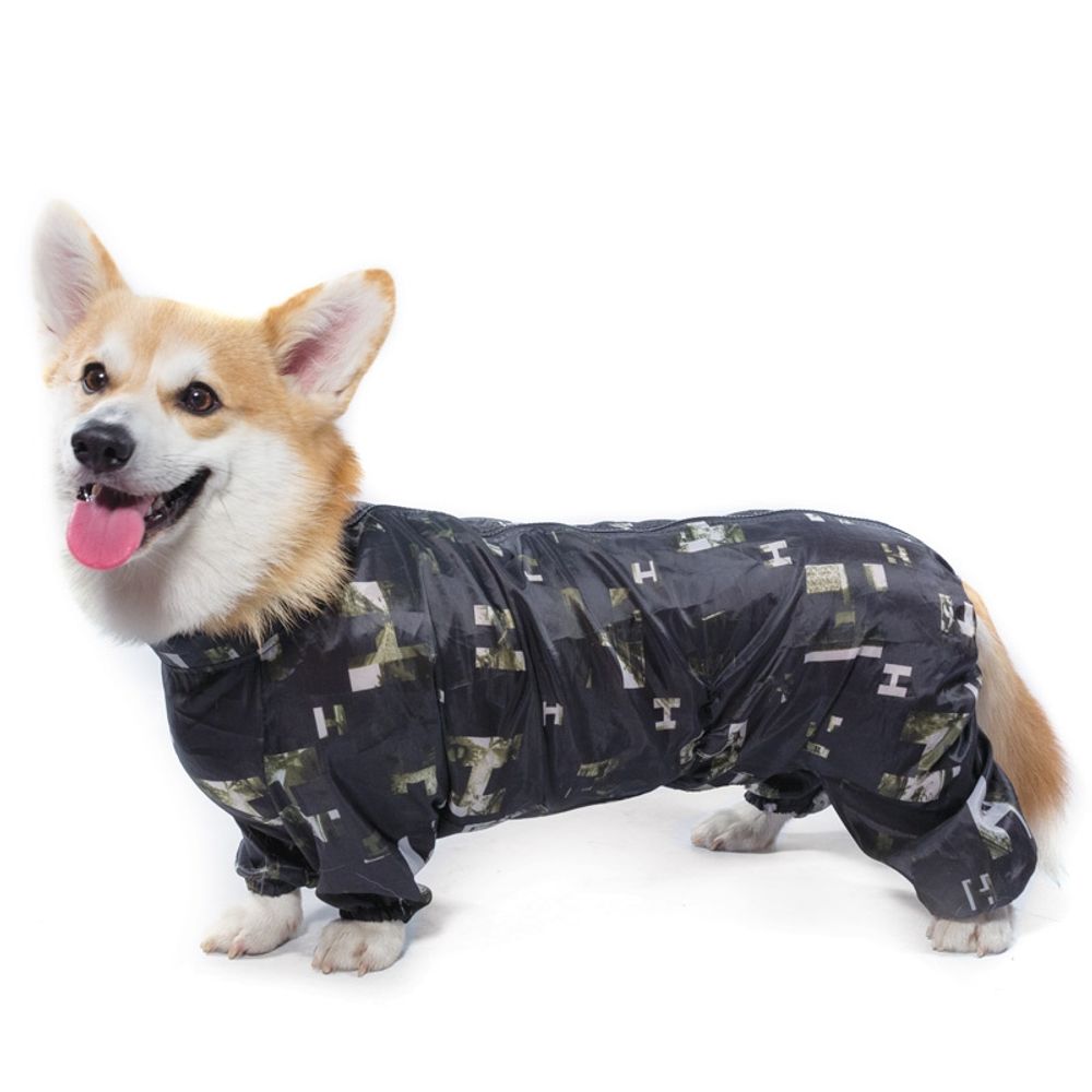 Gamma комбинезон-дождевик "Корги", 49 см