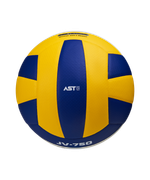 Мяч волейбольный JV-750