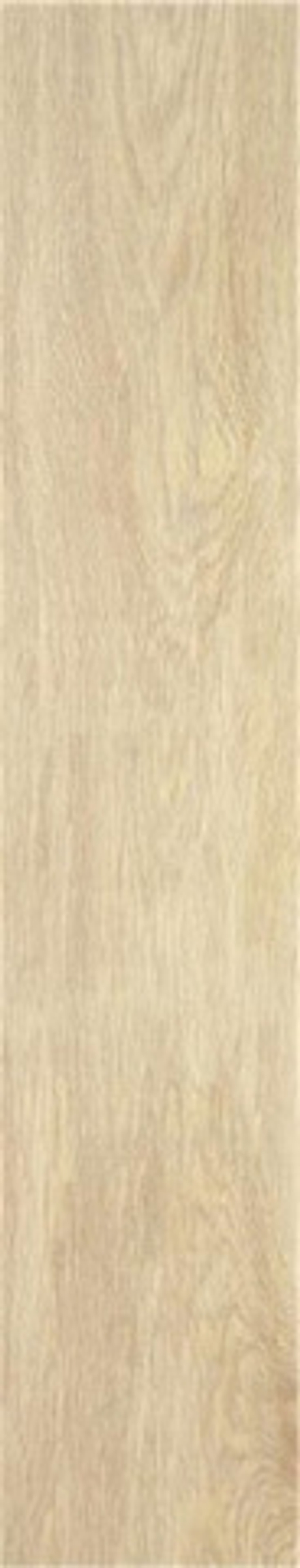 STN Tacora Beige Matt 22.7x119.5