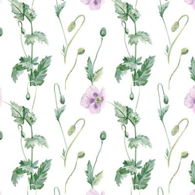 Бесшовный принт c маками