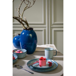 Набор обеденных тарелок blueberry, D26 см, синие, 2 шт.