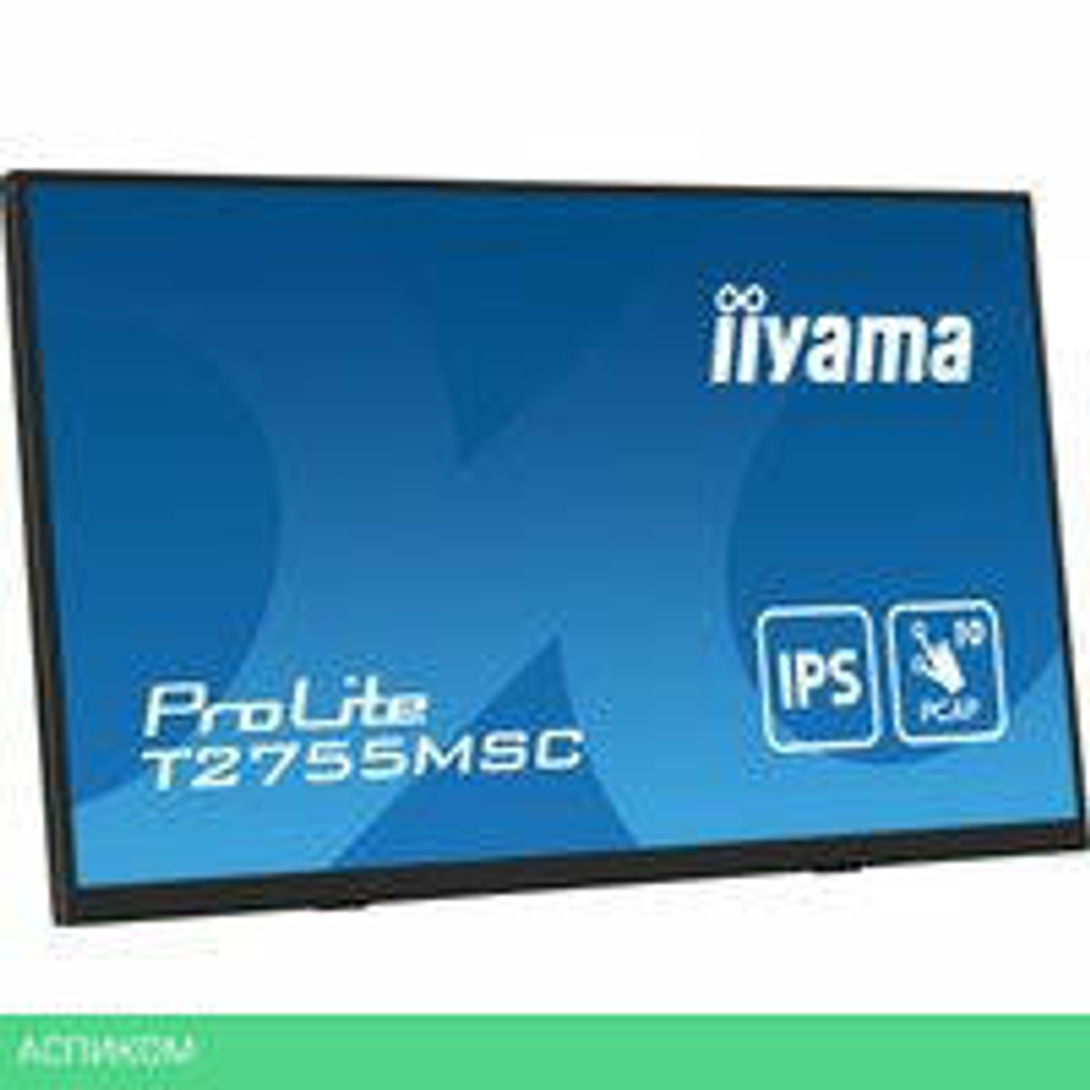 Портативный монитор Iiyama ProLite T2755MSC-B1