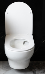 Унитаз подвесной FIORE Белый глянец c крышкой, функция Торнадо