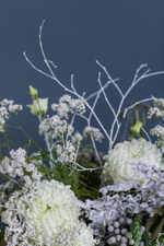 Интерьерный белый