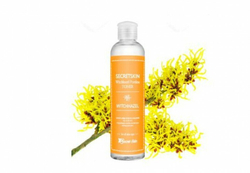 Secret Skin Тонер с экстрактом гамамелиса Witchhazel Poreless, 250 мл