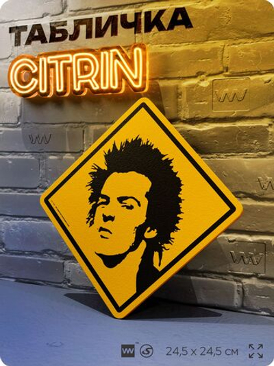 Табличка декоративная "Сид Вишес, Sid Vicious, Sex Pistols" на дверь и стену, прикольная штука в подарок, декоративный знак, 24,5х24,5 см, пластиковая, Айдентика Технолоджи