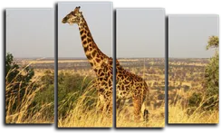 Модульная картина "Великолепный жираф"