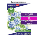 Папка для рисования формат большой А3 20 л. 200 г/м2 BRAUBERG 297х420 мм (5 штук в упаковке)