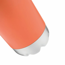 термобутылка PARKY