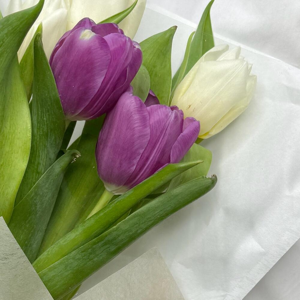 5 тюльпанов микс в упаковке