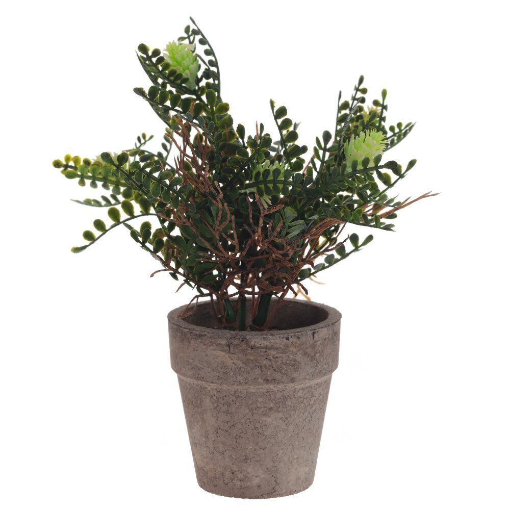 GAEM Цветочная композиция, L9 W9 H18 см