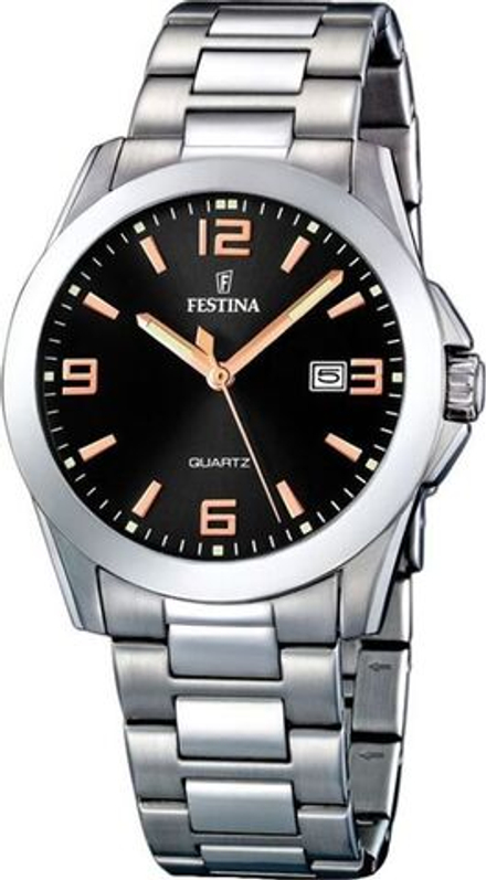 Мужские наручные часы Festina F16376/6
