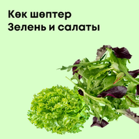Зелень и салаты