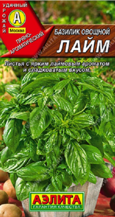 Базилик овощной Лайм
