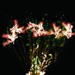 Фейерверк "Новый год к нам мчится" (305 залпов)