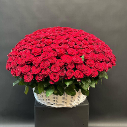 301 красная роза в корзине