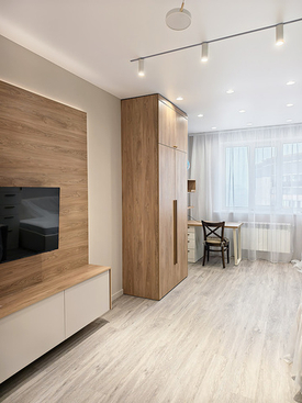 ТВ зона, шкафы и рабочая зона для гостиной