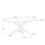 Arya Стол обеденный 200x100 нержавеющая сталь с керамической столешницей Iron Moss