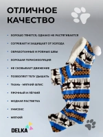Одежда для собак мелких пород чихуахуа йорка той мальтипу