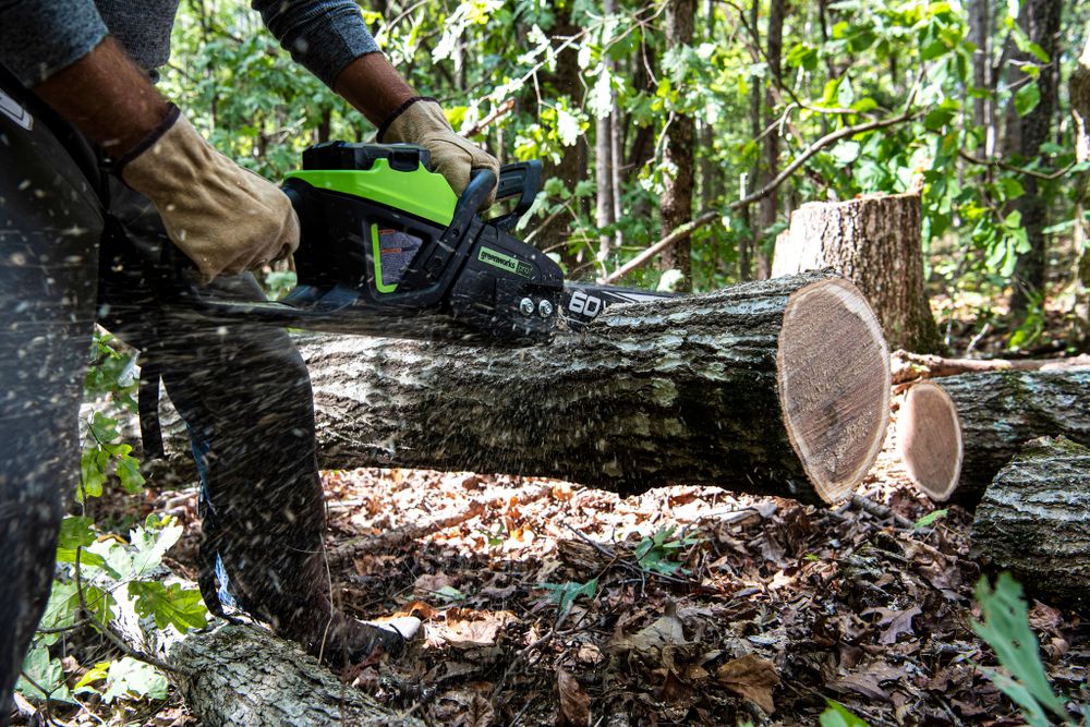 Цепная пила аккумуляторная Greenworks GD60CS25 Арт. 2008907, 60V, 40 см, бесщеточная, 2500 Вт, без АКБ и ЗУ