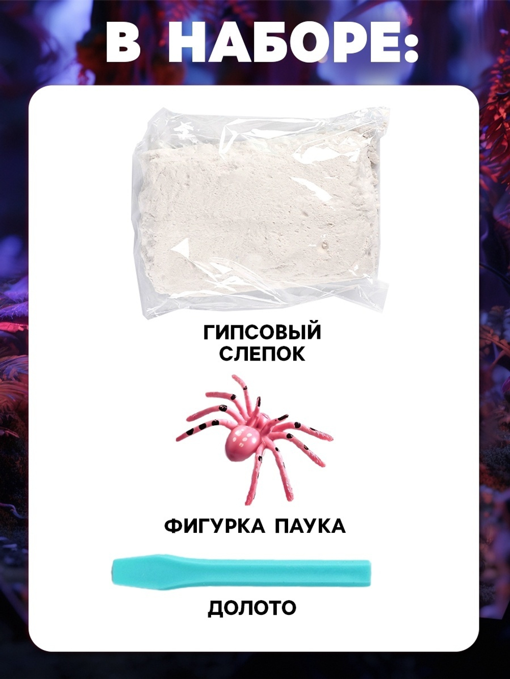 Раскопки «В поисках паучка»