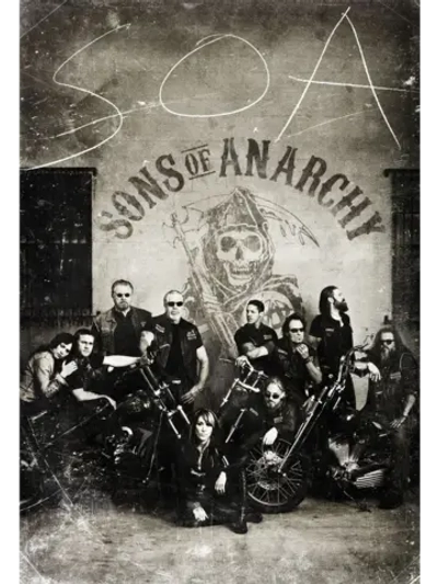 Сыны анархии, 4 сезон (2008-2014) (КИНО USB)