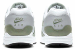 Кроссовки Nike Air Max 1 Premium "Spiral Sage"