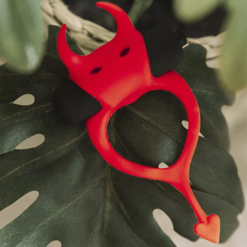 Эрекционное кольцо Devol Adrien Lastic