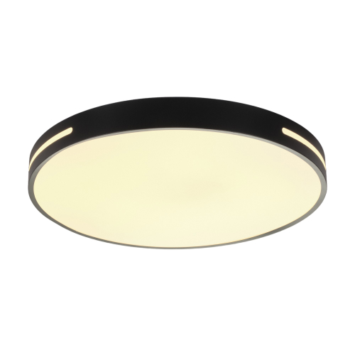 Потолочный светодиодный светильник круглый с пультом MyFar Oberon MR9100-CL