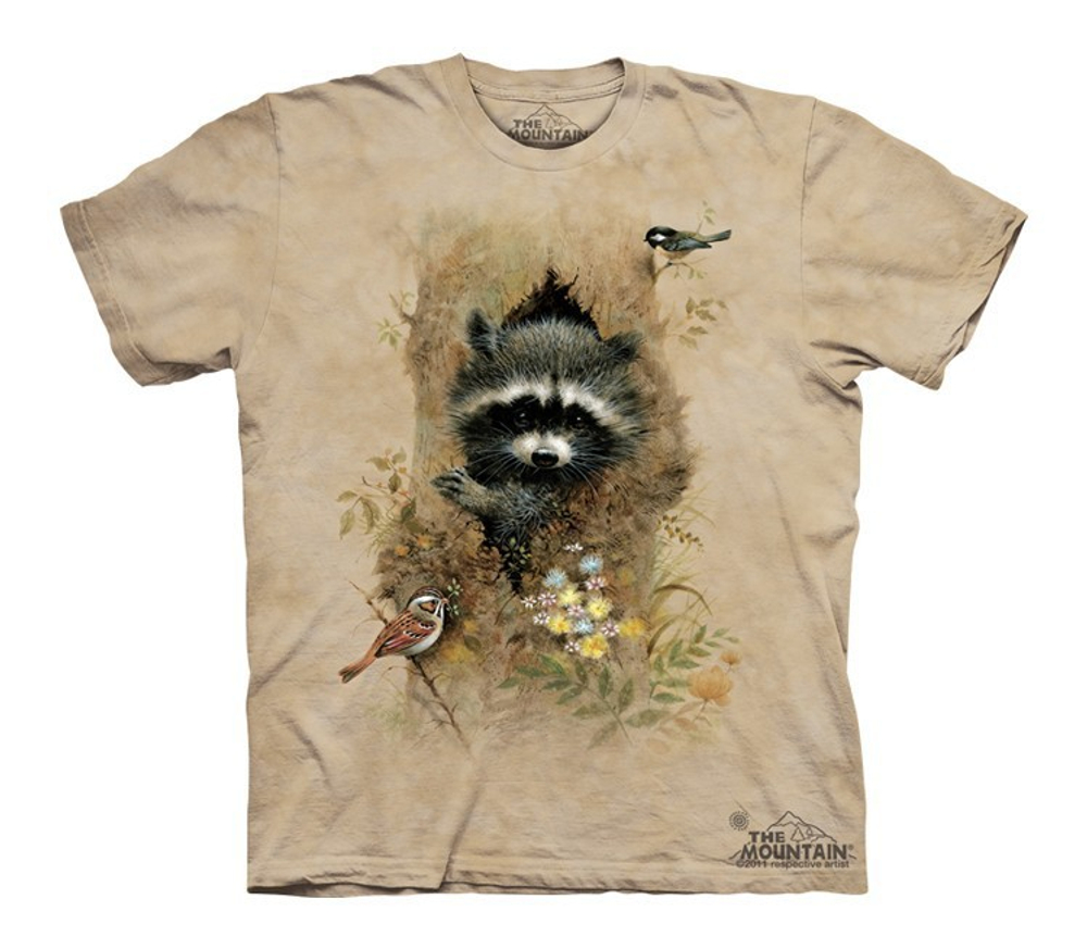 Wee Raccoon
