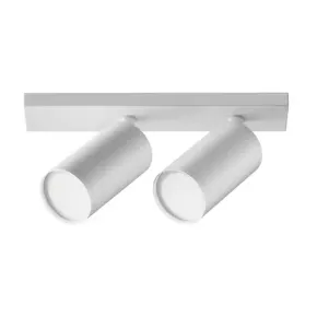 С 2 плафонами