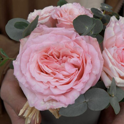 72. Маленькая композиция в гипсовом кашпо