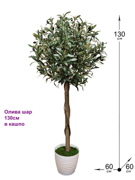 Дерево Олива шар 130см в кашпо