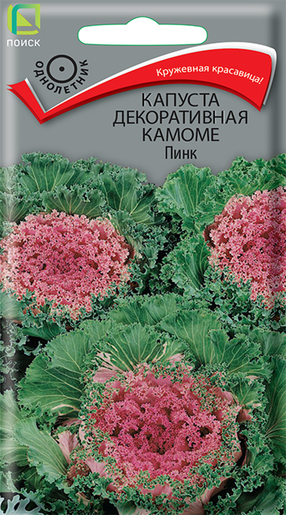 Капуста декоративная Камоме Пинк