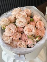 собран сегодня #07