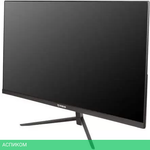 Монитор IRBIS ViewWorld 24FIDS010