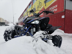 Квадроцикл PROMAX RAPTOR 300 NEW