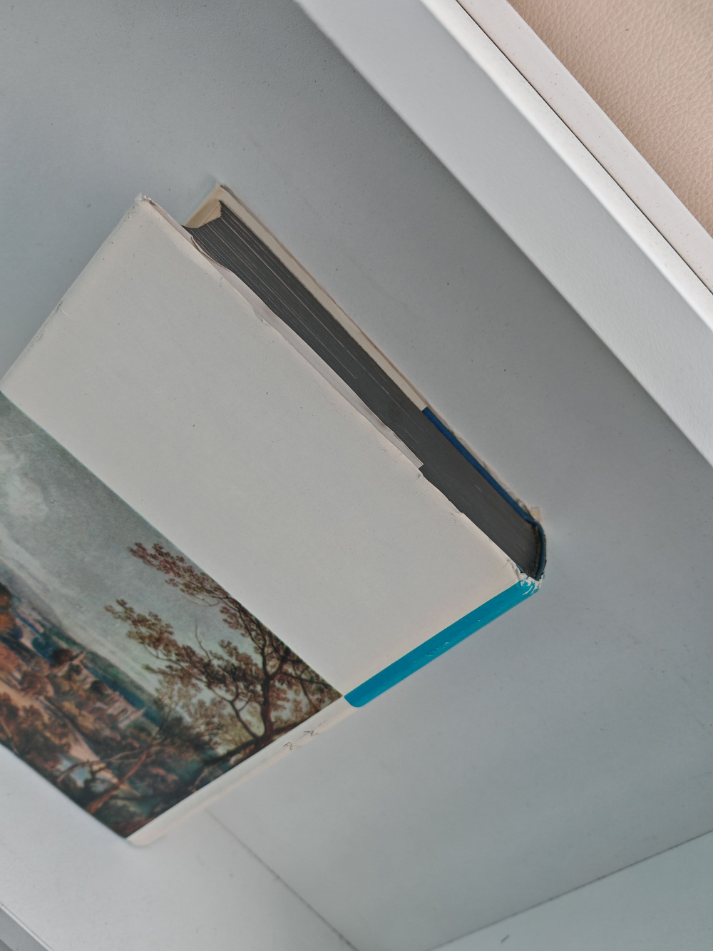 Поэзия английского романтизма XIX века