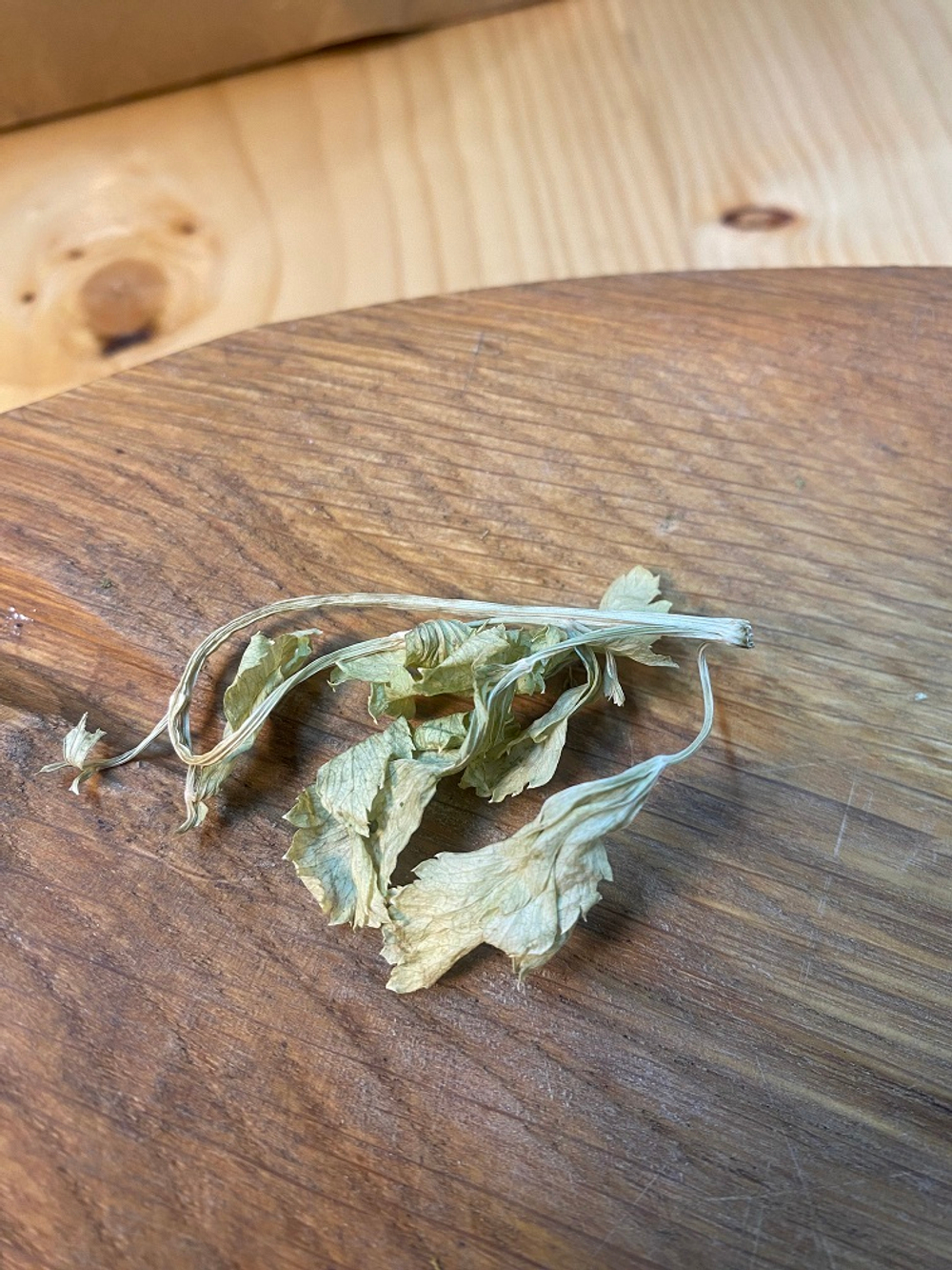 Сельдерей листовой сушёный