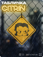 Табличка декоративная "Бетти Буп (Betty Boop)" на дверь и стену, прикольная штука в подарок фанату, декоративный знак, 24,5х24,5 см, пластиковая, Айдентика Технолоджи