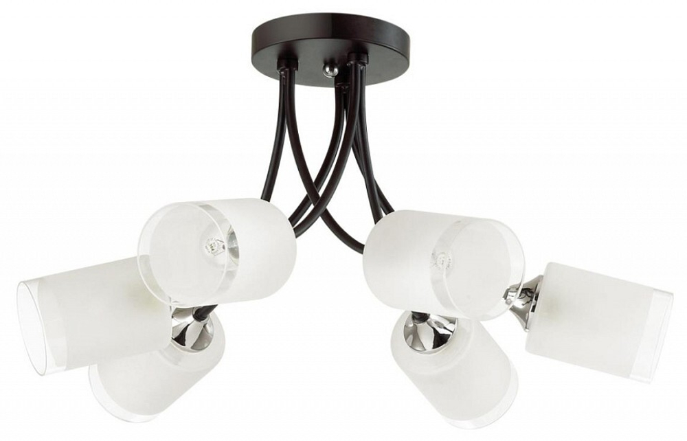 Накладная люстра Lumion 4533/6C