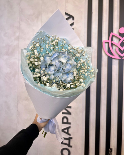 Букет из гортензии и гипсофилы