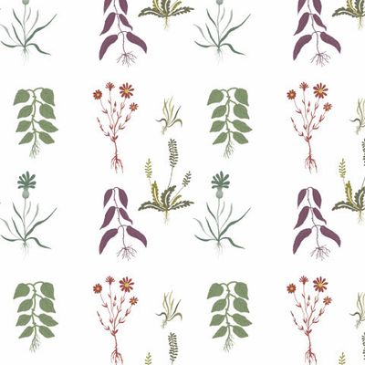 Ботаника растения