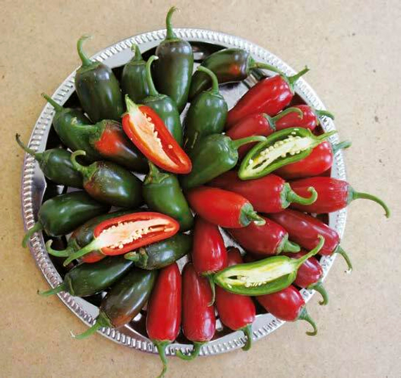 Сонора F1 семена перца острого купить – фото 1